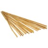 Bamboo Stake 5 FT (25PCS/BDL)