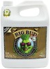 Big Bud Coco Liquid 500 Ml