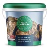 GAIA GREEN BASALT ROCK DUST 2 KG PAIL