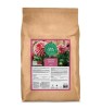 GAIA GREEN POWER BLOOM 2-8-4 20KG