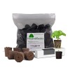 HollandBasics QIK ROOTERS Ready to Use Binded Peat Plugs with Added Rooting Compound & Amino Acids for Exceptional Seedlings Or Clones 50 Packs