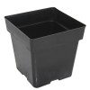 Square Pot 5.5 Inches