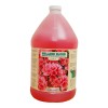 Holland Bloom 4 Litres