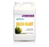 Silica Blast 4 Litres - NA0166GS