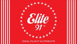 Elite 91 Logo
