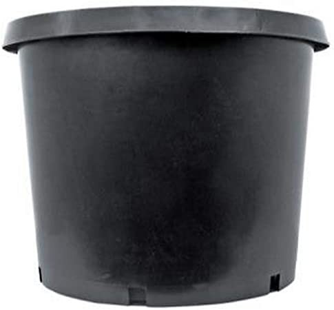 seedlings & herbs etc 125mm new round squat pots for growing larger plants 