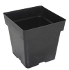 SQUARE POT 3.5 INCH - 1