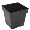 Square Pot 5.5 Inches - 1