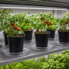 Plant Saucer 12 - 3