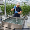Botanicare Cal-Mag Plus 20 Litres - 2