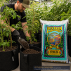 Ocean Forest Potting Soil 1.5 Cu Ft (42.5L) AMERICAN VER. - 2
