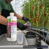 Alaska Mor-Bloom Fertilizer 1 Litre - 2
