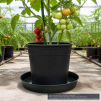 Alfred 18-Inch Thick Plastic Plant Saucers, 50 Pack - 2