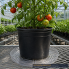 Clear Plastic Plant Saucer 17 Inch - 2