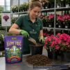 FOX FARM HAPPY FROG ACID LOVING DRY FERTILIZER, 4 LB BAG - 2