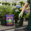 FOX FARM HAPPY FROG ACID LOVING DRY FERTILIZER, 4 LB BAG - 3