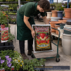 FOXFARM STRAWBERRY FIELDS&reg; FRUITING & FLOWERING POTTING SOIL, 1.5 CU FT - 2