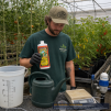 FoxFarm Big Bloom 1 Litre - 2