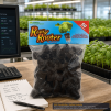 Rapid Rooter Plugs 50/Pack - 3