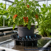 GRO PRO NX LEVEL POT ELEVATOR 16" - 5