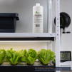 HOLLANDBASICS pH Down 1 Litre - 3