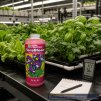 GH Flora Bloom 1 Litre - 3