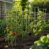 42" GALVANIZED WIRE TOMATO CAGE - 3