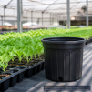 Plastic Nursery Pot 1 Gallon - 3