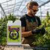 Big Bud Liquid 1 Litre - 2