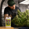 Big Bud Liquid 1 Litre - 3