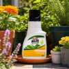 ORTHO BUG B GON ECO INSECTICIDE CONCENTRATE 500ML (12) - 3
