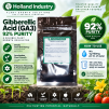 Holland Industry 92% Gibberellic Acid (GA3) 10 Grams - 3