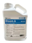 ATHENA BLOOM A 4L