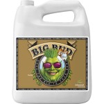 Big Bud Coco Liquid 10 Litres