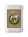 Big Bud Coco Liquid 23 Litres
