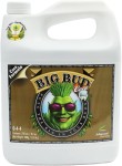 Big Bud Coco Liquid 250 Ml