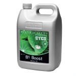 CYCO B1 BOOST 5 LITRES