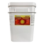 Crazy Bloom 10 Kilograms