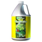 GH Floralicious Grow 4 Litres