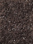 HollandBasics All Purpose Organic Soil Blend for Gardening and Plants, 10L