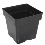 Square Pot 5.5 Inches