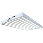 T5 4FT 8 TUBE FIXTURE W / BULBS