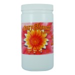 Crazy Blossom 1 Kilogram