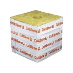 Cultilene Block 6''X6''X6'' (48/Case)