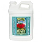 FOXFARM GROW BIG HYDROPONIC LIQUID CONCENTRATE 10 L