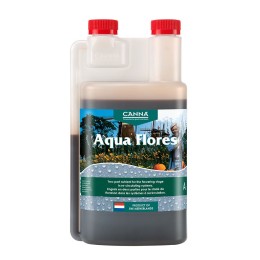 canna aqua flores a 1 litre