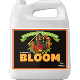 ph perfect bloom 4 litres