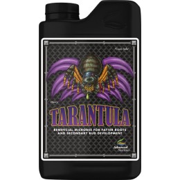 tarantula