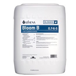 athena bloom b 20l