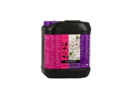 b'cuzz bloom stimulator 5 litres